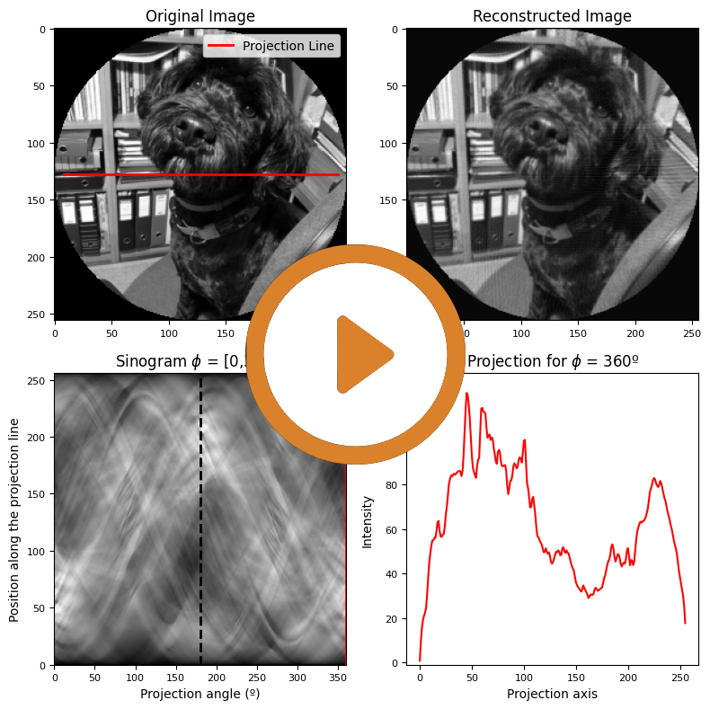 radon visualizer — click to watch